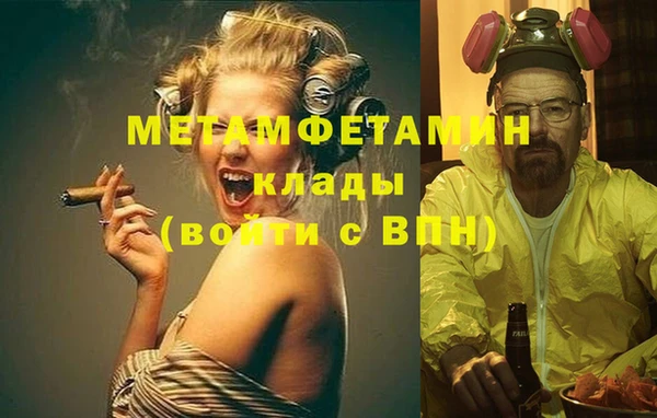 метадон Богданович